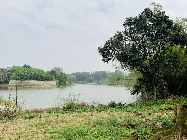 Đất ven ao, hồ đang được nhiều người dân tìm mua (Ảnh Lan Nhi).