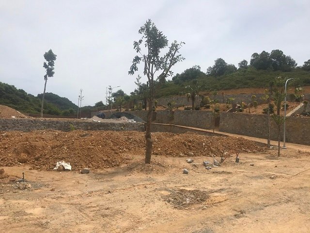 70 lô Bãi Dài Biệt thự 70 lô Bãi Dài - Hòa Lạc
